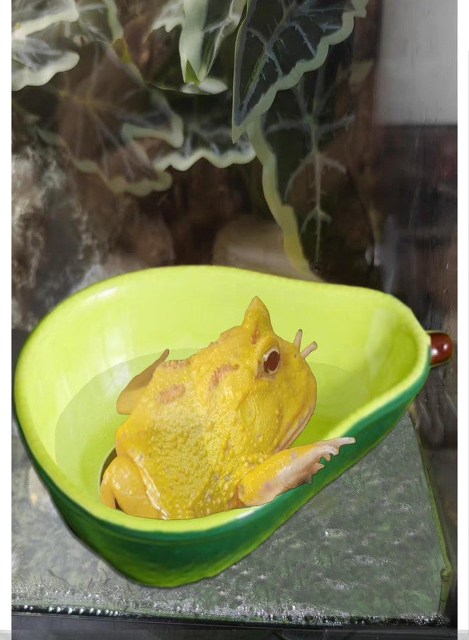 JSLZF Tree Frog Habitat Frog Water Bowl Dish Bathtub Tank Accessories Terrarium Decor Ceramic Aquarium Decoration Sturdy and Not Easy to Knock Over - Image 4